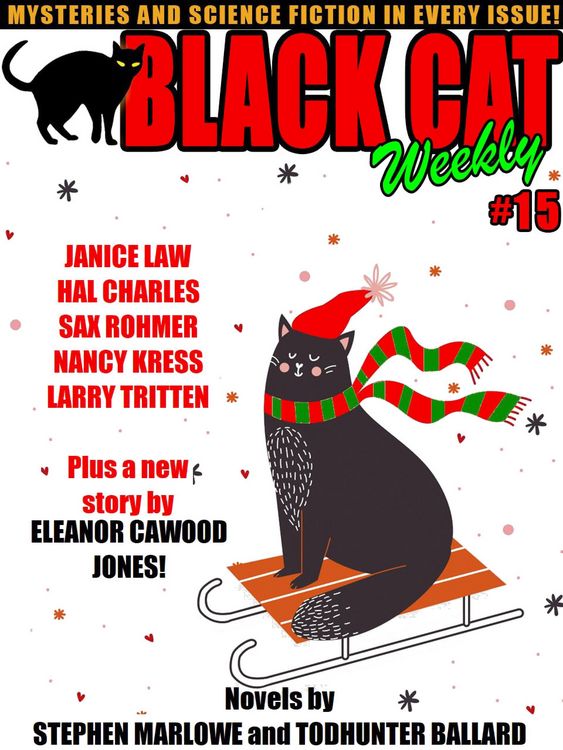 Produktbild: Black Cat Weekly #15