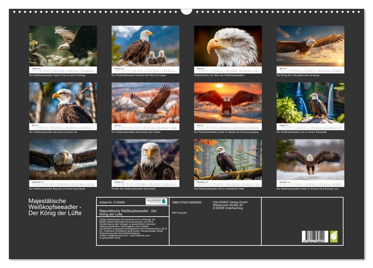 Produktbild: Majest&auml;tische Wei&szlig;kopfseeadler - Der K&ouml;nig der L&uuml;fte (Wandkalender 2026 DIN A2 quer), CALVENDO Monatskalender