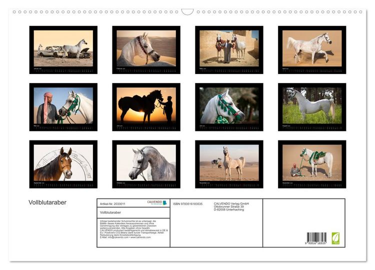 Produktbild: Vollblutaraber (Wandkalender 2026 DIN A2 quer), CALVENDO Monatskalender