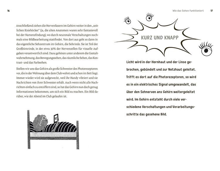 Faszination Auge