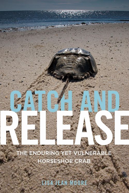 Produktbild: Moore, L: Catch and Release