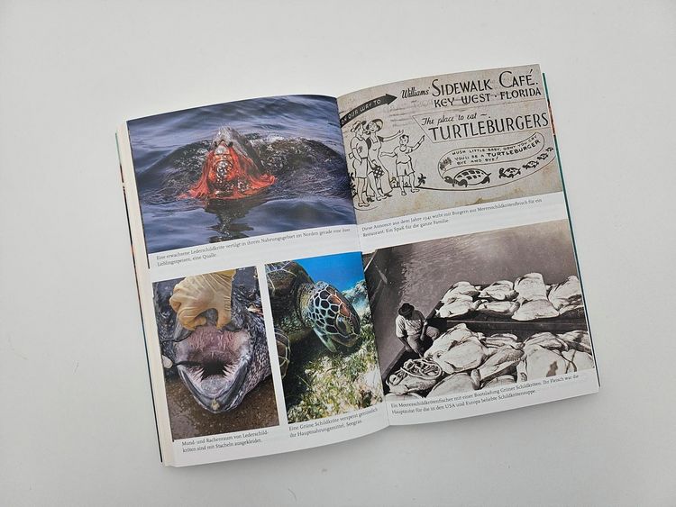 Produktbild: Meine Reise mit den Meeresschildkr&ouml;ten