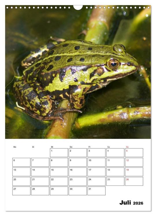Produktbild: Heimische Wildtiere Terminplaner (Wandkalender 2026 DIN A3 hoch), CALVENDO Monatskalender