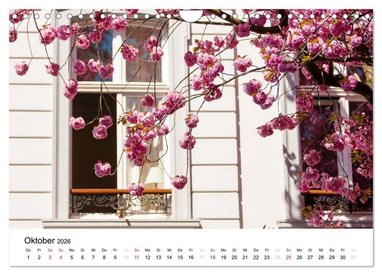 Produktbild: Bonn - Kirschbl&uuml;tenfest in der Altstadt (Wandkalender 2026 DIN A4 quer), CALVENDO Monatskalender