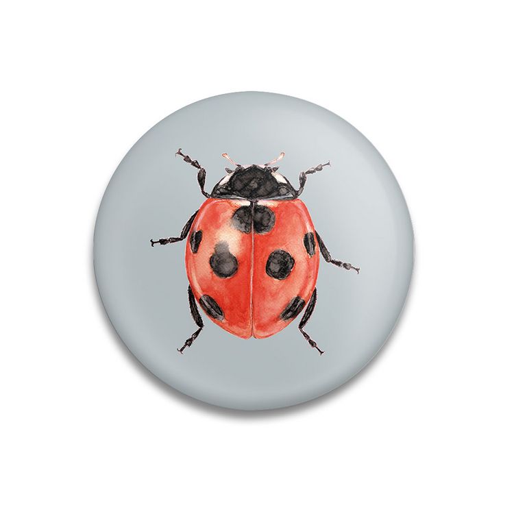 Produktbild: Dekomagnet Lucky Bug