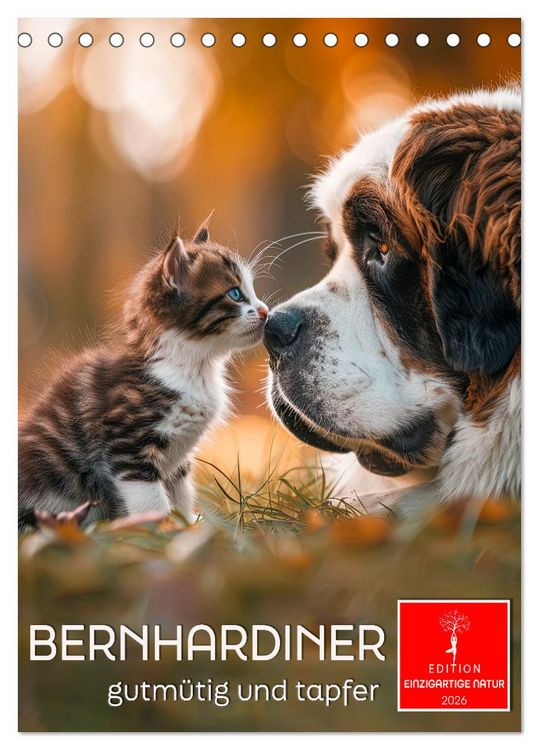 Produktbild: Bernhardiner - gutm&uuml;tig und tapfer (Tischkalender 2026 DIN A5 hoch), CALVENDO Monatskalender