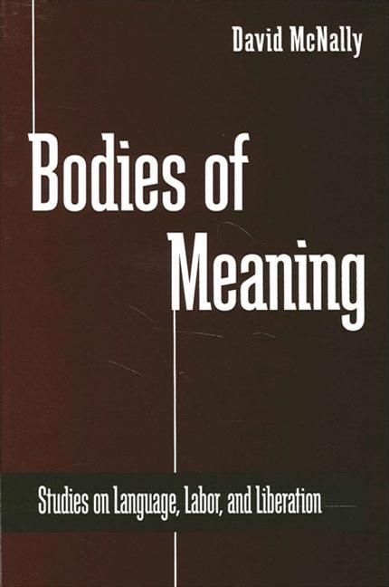 Produktbild: Bodies of Meaning