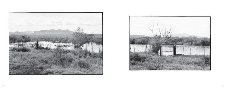 Produktbild: Zoe Leonard