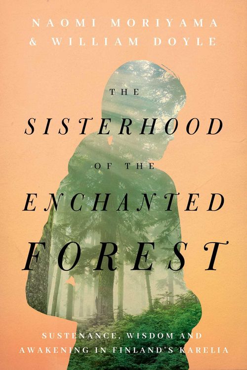 Produktbild: The Sisterhood of the Enchanted Forest