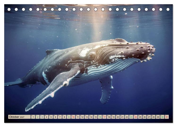 Produktbild: Die intelligentesten Tiere - Weltweit (Tischkalender 2027 DIN A5 quer), CALVENDO Monatskalender