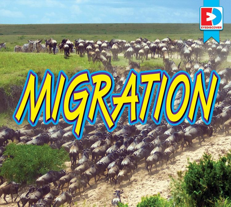 Produktbild: Migration