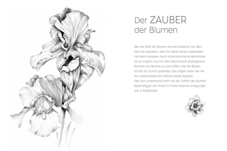 Die Kunst Des Zeichnens - Tiere: Die Große Zeichenschule Mit 240 Seiten, Perfekt Für Anfänger & Fortgeschrittene