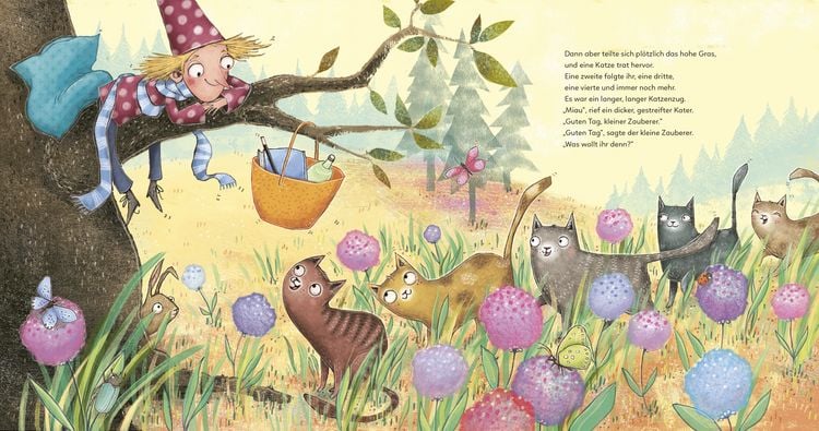 Produktbild: Der kleine Zauberer und der K&ouml;nig der Katzen