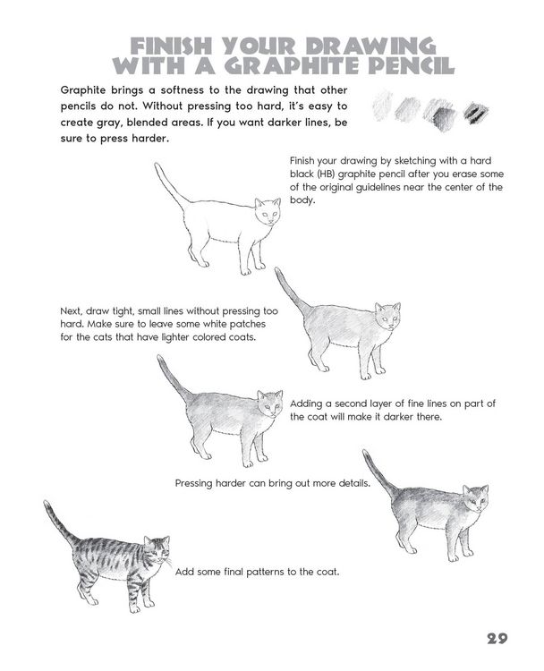 Produktbild: Drawing Animals