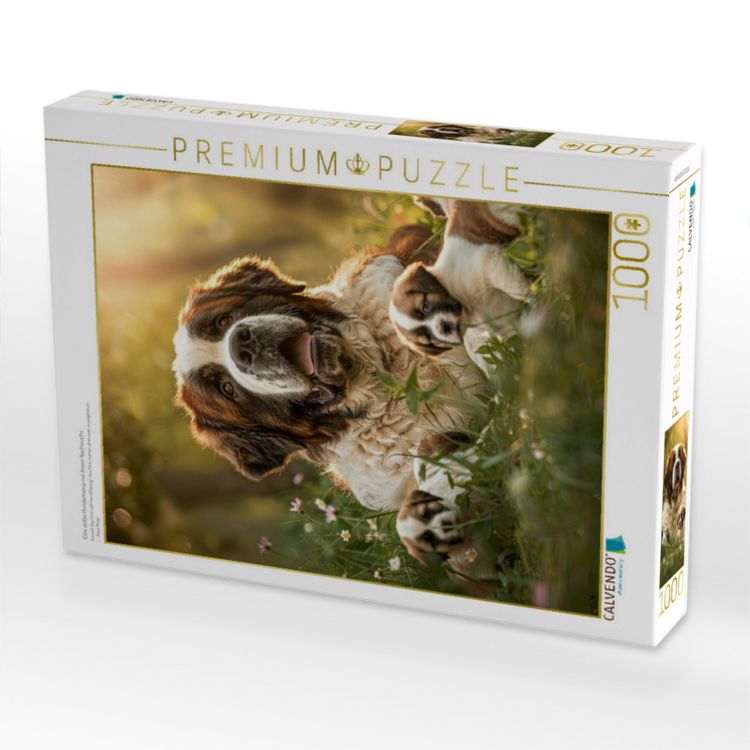 Produktbild: CALVENDO Puzzle Eine stolze Hundemama mit ihrem Nachwuchs | 1000 Teile Lege-Gr&ouml;&szlig;e 64x48cm Foto-Puzzle f&uuml;r gl&uuml;ckliche Stunden