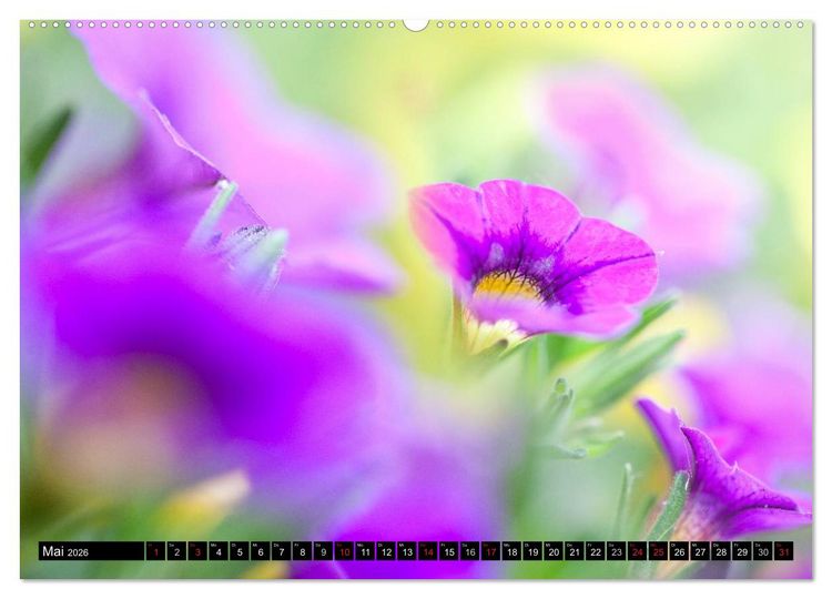 Produktbild: BLUMEN Zauber der Farben und Formen (hochwertiger Premium Wandkalender 2026 DIN A2 quer), Kunstdruck in Hochglanz