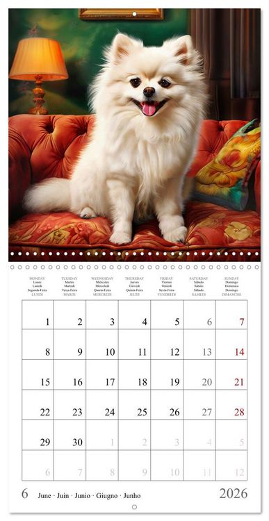 Produktbild: Dogs - Cute House Pets (Wall Calendar 2026 12 &times; 12 Inch) CALVENDO 12 Month Wall Calendar