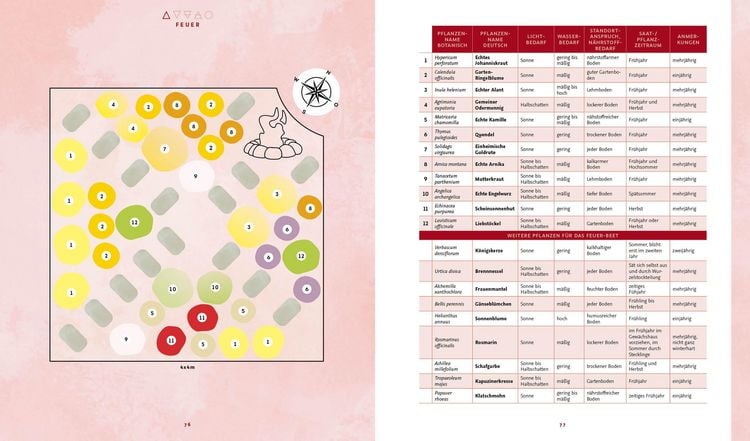 Produktbild: Magie im Hexengarten – Gärtnern mit grüner Magie