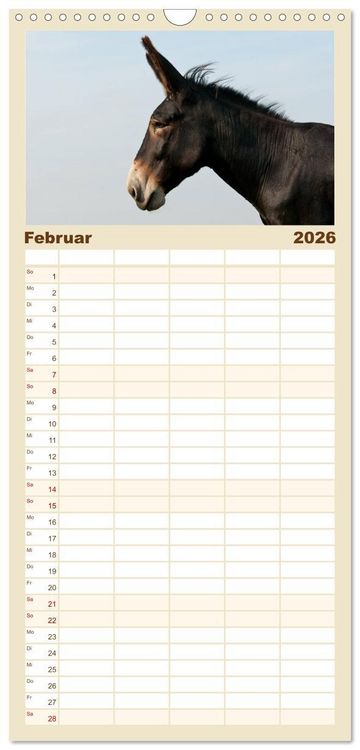 Produktbild: Familienplaner 2026 - Esel - Sixtus Loreley mit 5 Spalten (Wandkalender, 21 x 45 cm) CALVENDO