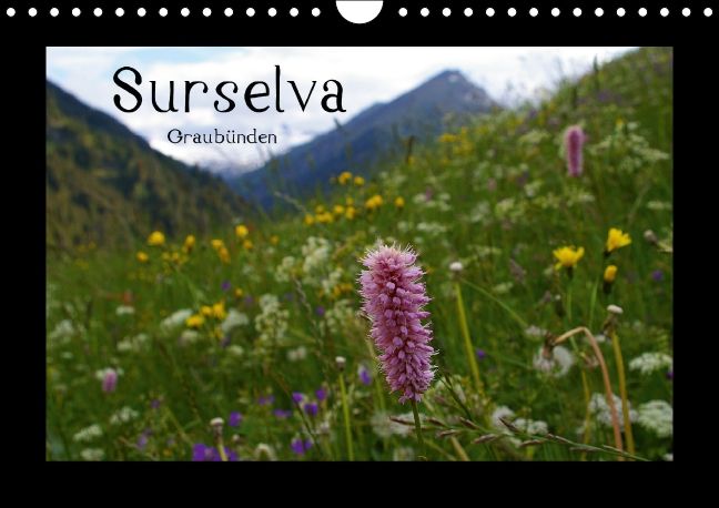 Produktbild: Surselva - Graub&uuml;nden (Wandkalender immerw&auml;hrend DIN A4 quer)