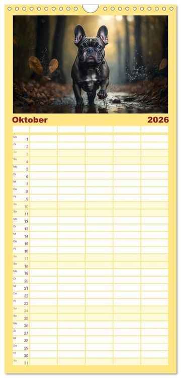 Produktbild: Familienplaner 2026 - Franz&ouml;sische Bulldoggen mit 5 Spalten (Wandkalender, 21 x 45 cm) CALVENDO