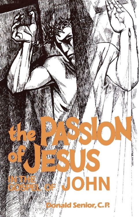 Produktbild: The Passion of Jesus in the Gospel of John