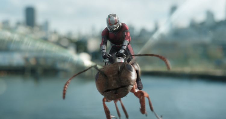 Produktbild: Ant-Man and the Wasp