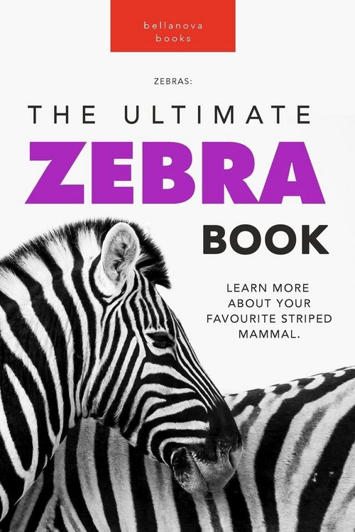 Produktbild: Zebras