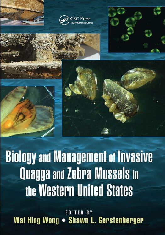 Produktbild: Biology and Management of Invasive Quagga and Zebra Mussels in the Western United States