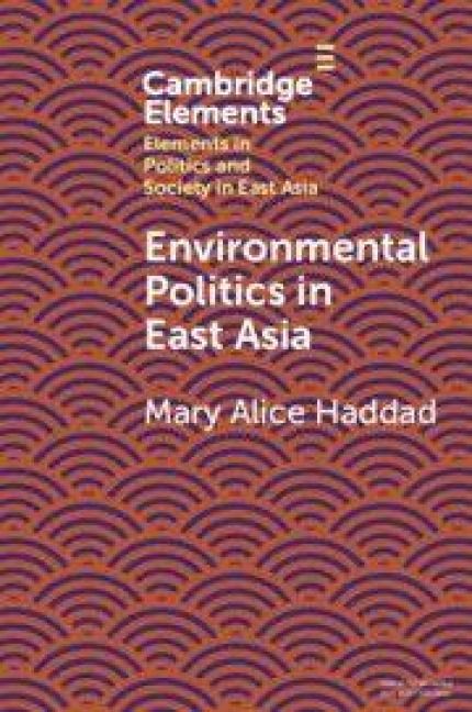 Produktbild: Environmental Politics in East Asia