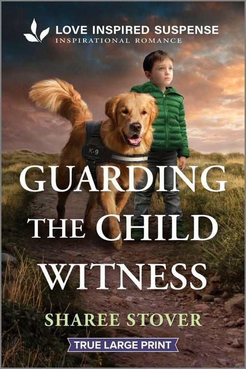 Produktbild: Guarding the Child Witness