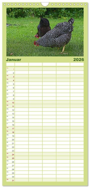 Produktbild: Familienplaner 2026 - Die H&uuml;hner sind los! mit 5 Spalten (Wandkalender, 21 x 45 cm) CALVENDO