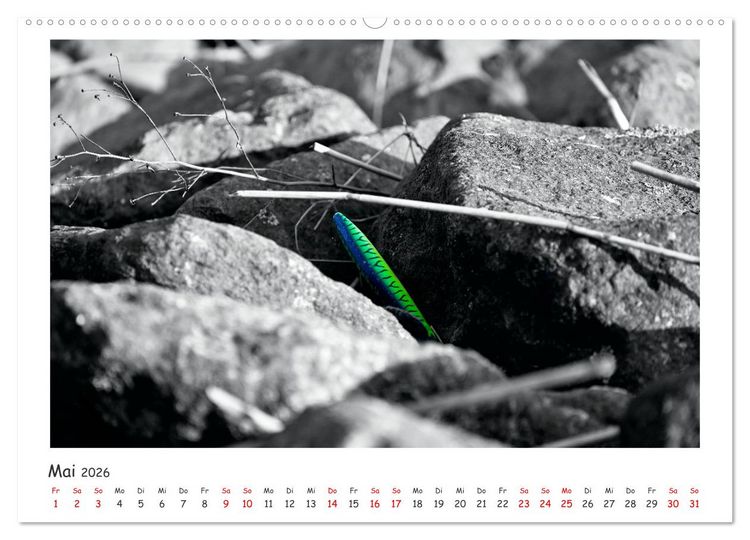 Produktbild: Gestrandet -Treibgut- (hochwertiger Premium Wandkalender 2026 DIN A2 quer), Kunstdruck in Hochglanz