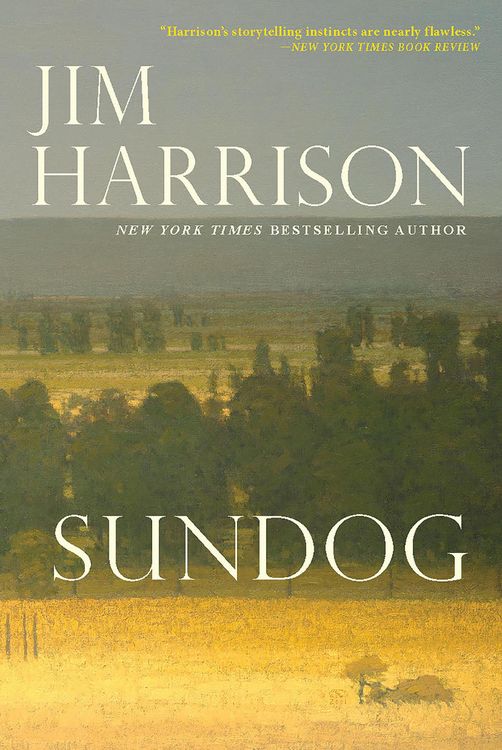 Produktbild: Sundog