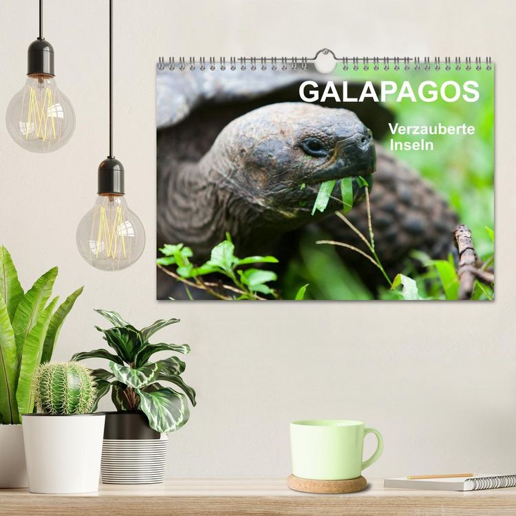 Produktbild: Galapagos. Verzauberte Inseln (Wandkalender 2026 DIN A4 quer), CALVENDO Monatskalender