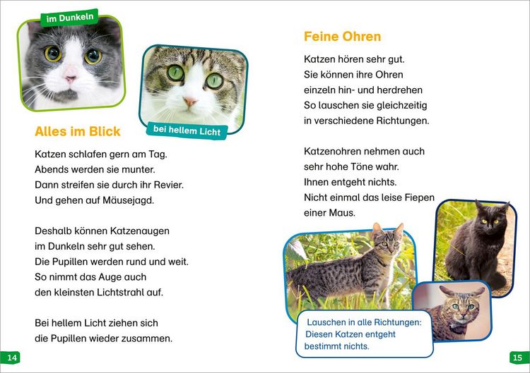 Produktbild: WAS IST WAS Erstes Lesen easy! Band 10. Katzen - meine Lieblingstiere