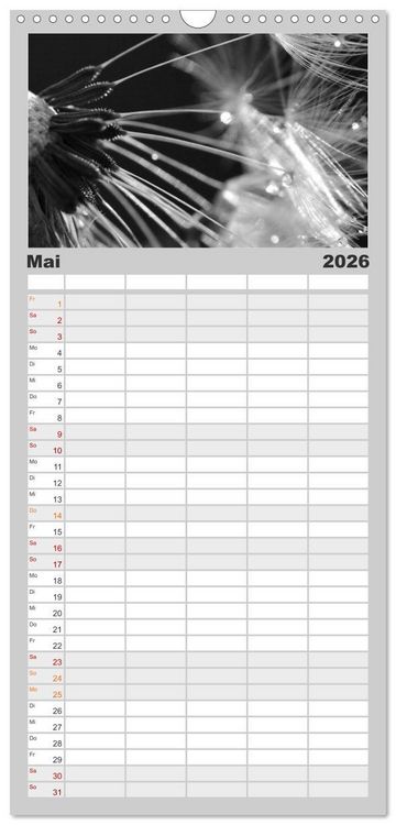 Produktbild: Familienplaner 2026 - Pusteblume - Impressionen in schwarzwei&szlig; mit 5 Spalten (Wandkalender, 21 x 45 cm) CALVENDO