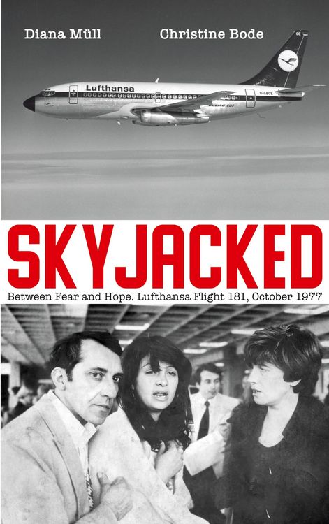 Produktbild: Skyjacked