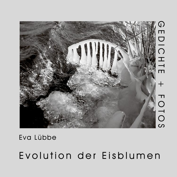 Produktbild: Evolution der Eisblumen