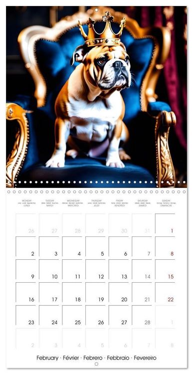 Produktbild: Kleemann, C: Dogs with matching hats (Wall Calendar 2026 12