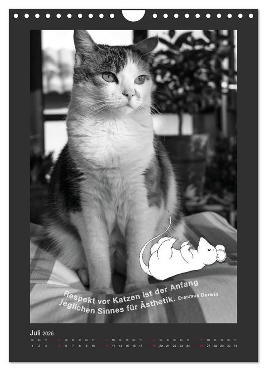 Produktbild: Katz & Maus (Wandkalender 2026 DIN A4 hoch), CALVENDO Monatskalender