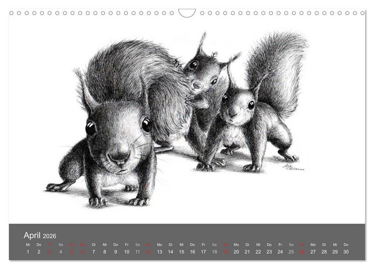 Produktbild: owls & friends 2026 (Wandkalender 2026 DIN A3 quer), CALVENDO Monatskalender
