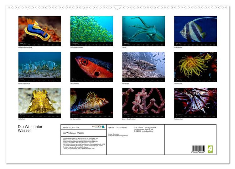 Produktbild: Die Welt unter Wasser (Wandkalender 2026 DIN A2 quer), CALVENDO Monatskalender