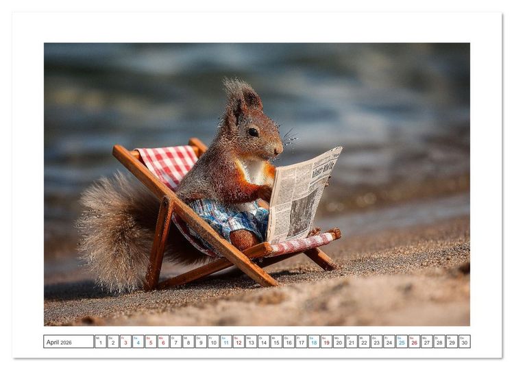 Produktbild: Strandgefl&uuml;ster (Wandkalender 2026 DIN A4 quer), CALVENDO Monatskalender