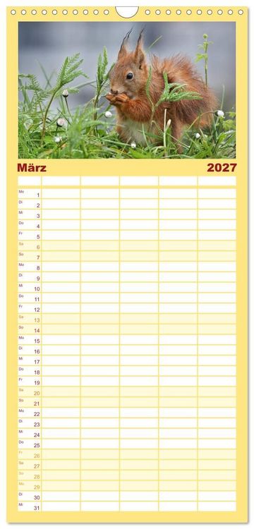 Produktbild: Familienplaner 2027 - Eichh&ouml;rnchen in zauberhaften Posen mit 5 Spalten (Wandkalender, 21 x 45 cm) CALVENDO