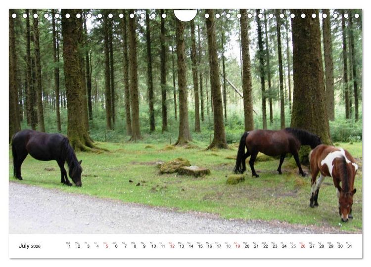 Produktbild: Charming - Mystic Devon Dartmoor, South England (Wall Calendar 2026 DIN A4 landscape), CALVENDO 12 Month Wall Calendar
