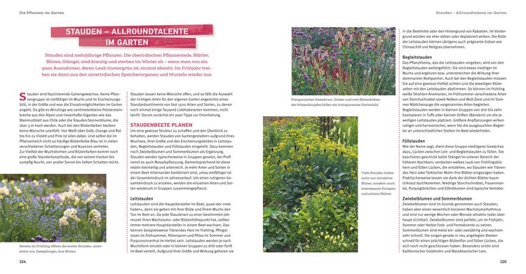 Produktbild: Garten Step by Step