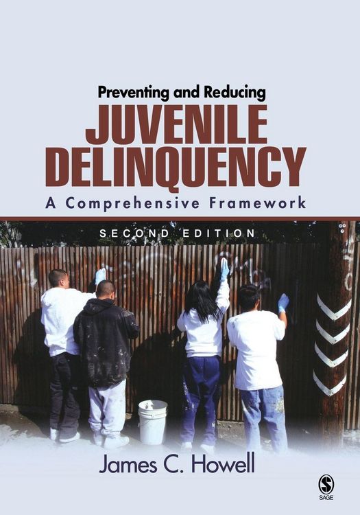 Produktbild: Preventing and Reducing Juvenile Delinquency