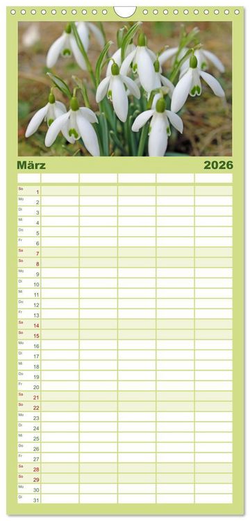 Produktbild: Familienplaner 2026 - Die Sch&ouml;nheit der Jahreszeiten, Sehnsucht nach Farbe und Leichtigkeit mit 5 Spalten (Wandkalender, 21 x 45 cm) CALVENDO