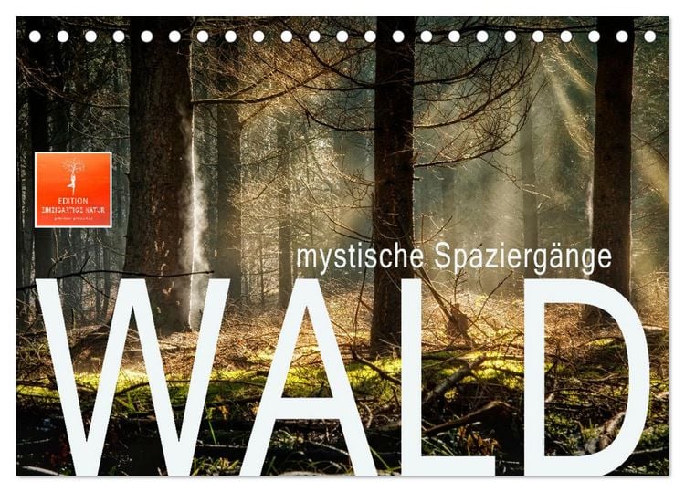 Produktbild: Wald - mystische Spazierg&auml;nge (Tischkalender 2026 DIN A5 quer), CALVENDO Monatskalender